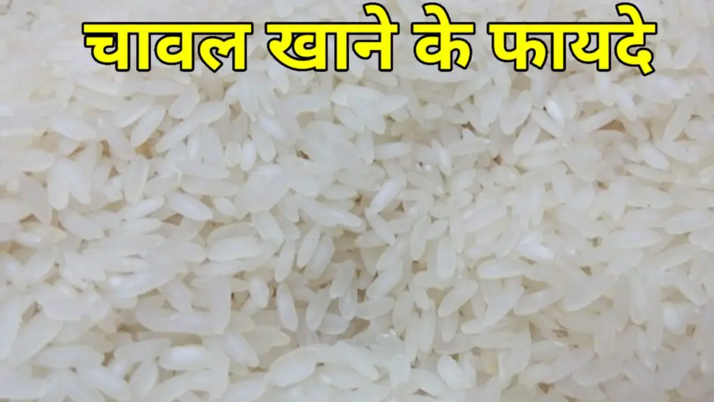चावल खाने का सही समय ( Chawal Khane Ka Sahi Samay)