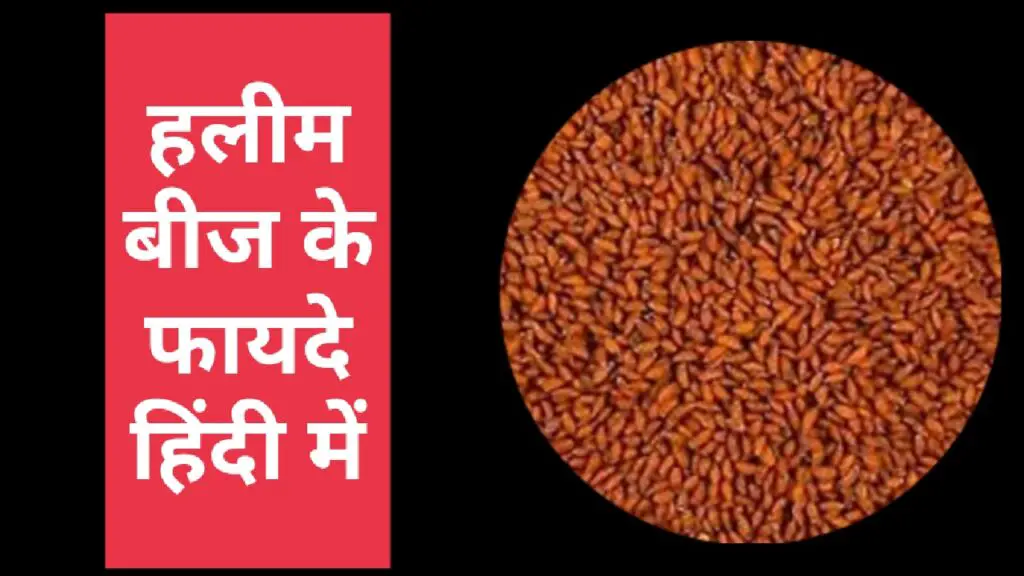 हलीम बीज (Halim Seeds in Hindi) क्या फायदे जानकर हैरान हो जायेंगे