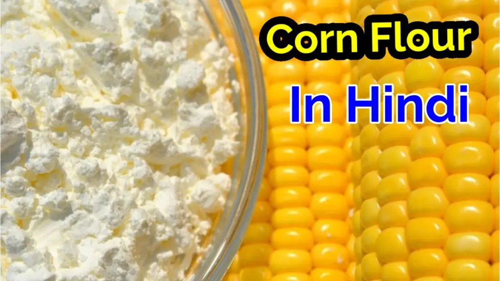 Corn Flour In Hindi Corn Flour meaning In Hindi