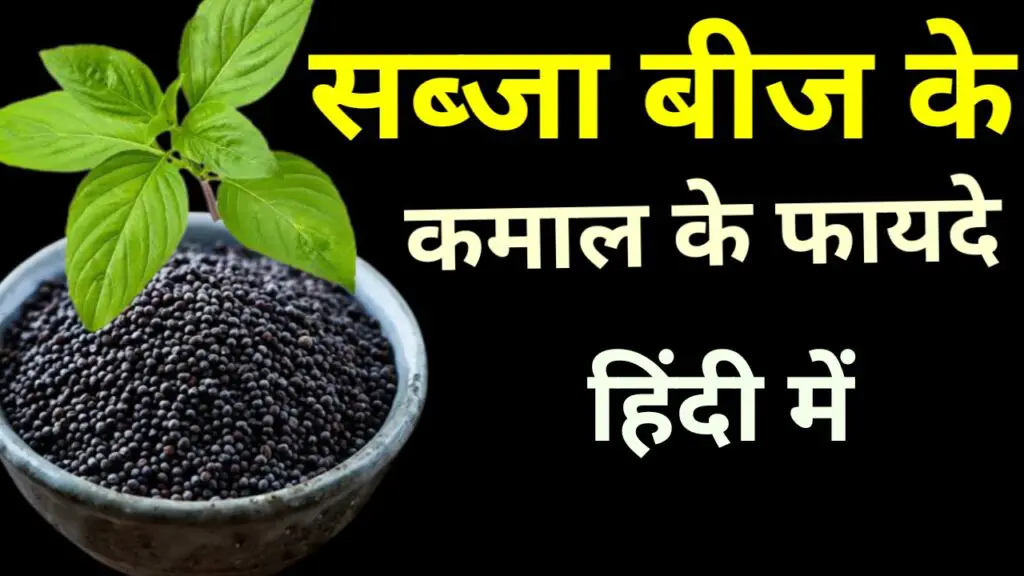 Sabja Seeds in Hindi