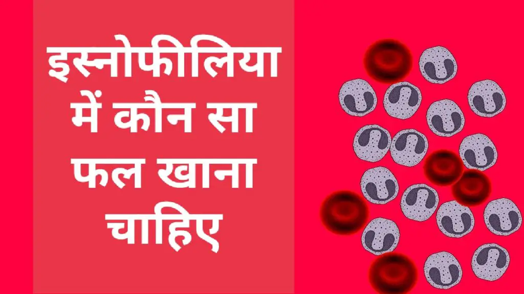 इस्नोफीलिया में कौन सा फल खाना चाहिए - पूरी जानकारी क्या खाना सही हैं विस्तार से जाने