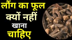 लौंग का फूल क्यों नहीं खाना चाहिए - लौंग के फायदे इन हिंदी