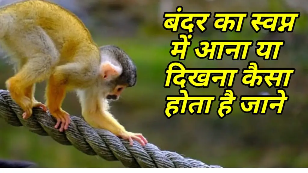 सपने में बंदर देखना ( sapne me bandar dekhna )