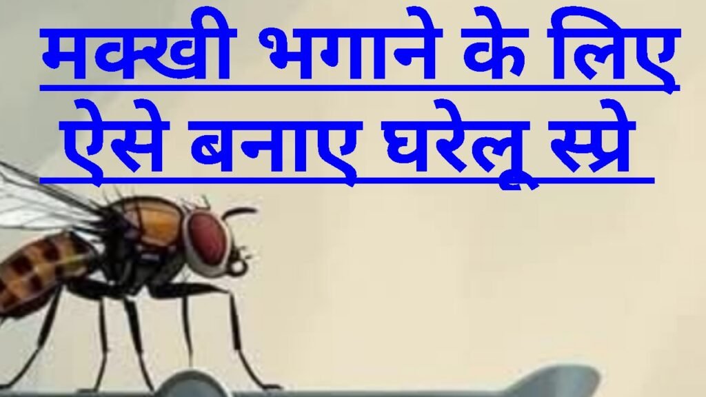 मक्खी भगाने का स्प्रे घरेलू उपाय : मिनटों से घर से बाहर भाग जाएगी मक्खियां