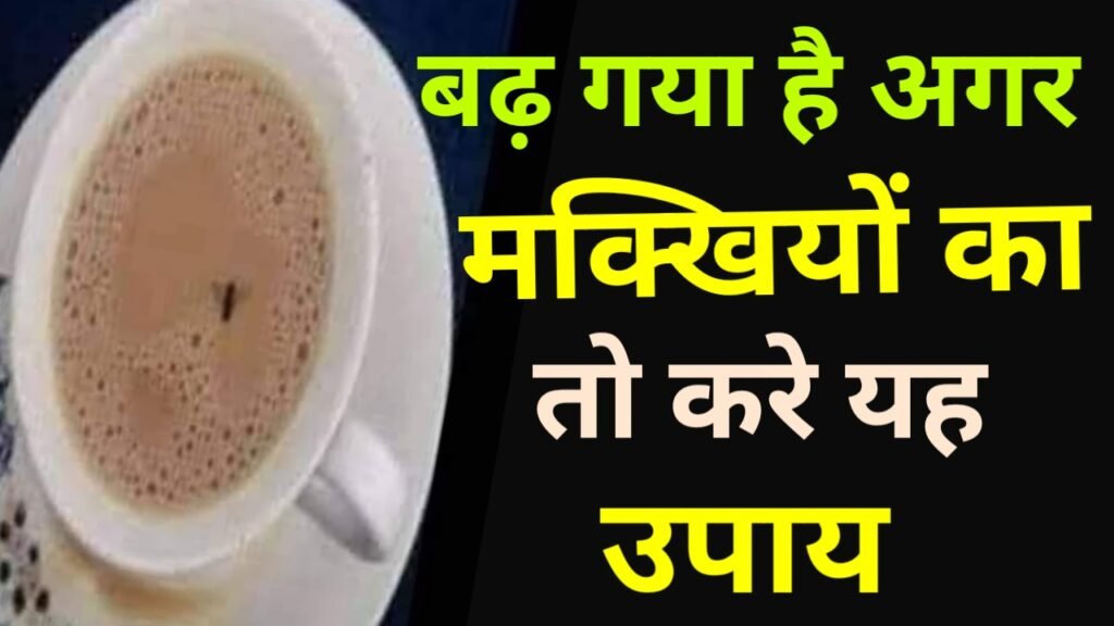 मक्खी भगाने का स्प्रे घरेलू उपाय : मिनटों से घर से बाहर भाग जाएगी मक्खियां