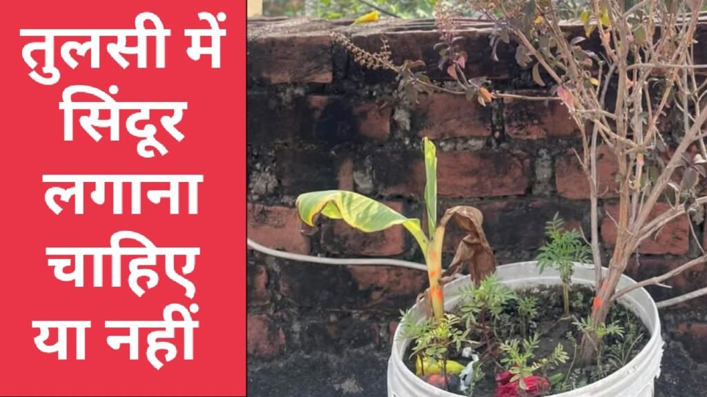 तुलसी में सिंदूर लगाना चाहिए या नहीं : तुलसी पूजा से जुड़े प्रश्नों के उत्तर