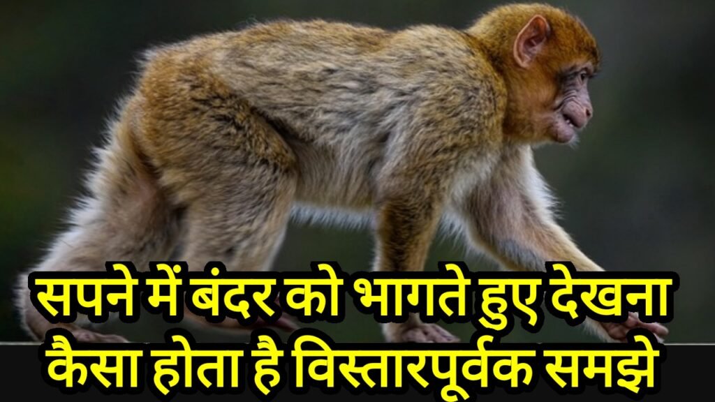 सपने में बंदर को भागते हुए देखना कैसा होता है विस्तारपूर्वक समझे