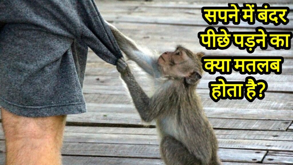 सपने में बंदर पीछे पड़ने का क्या मतलब होता है?