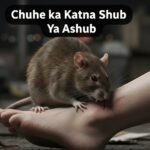 चूहे का काटना शुभ या अशुभ