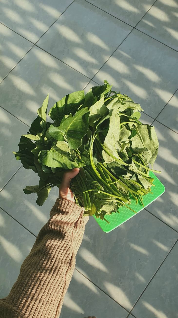 close up of holding vegetables