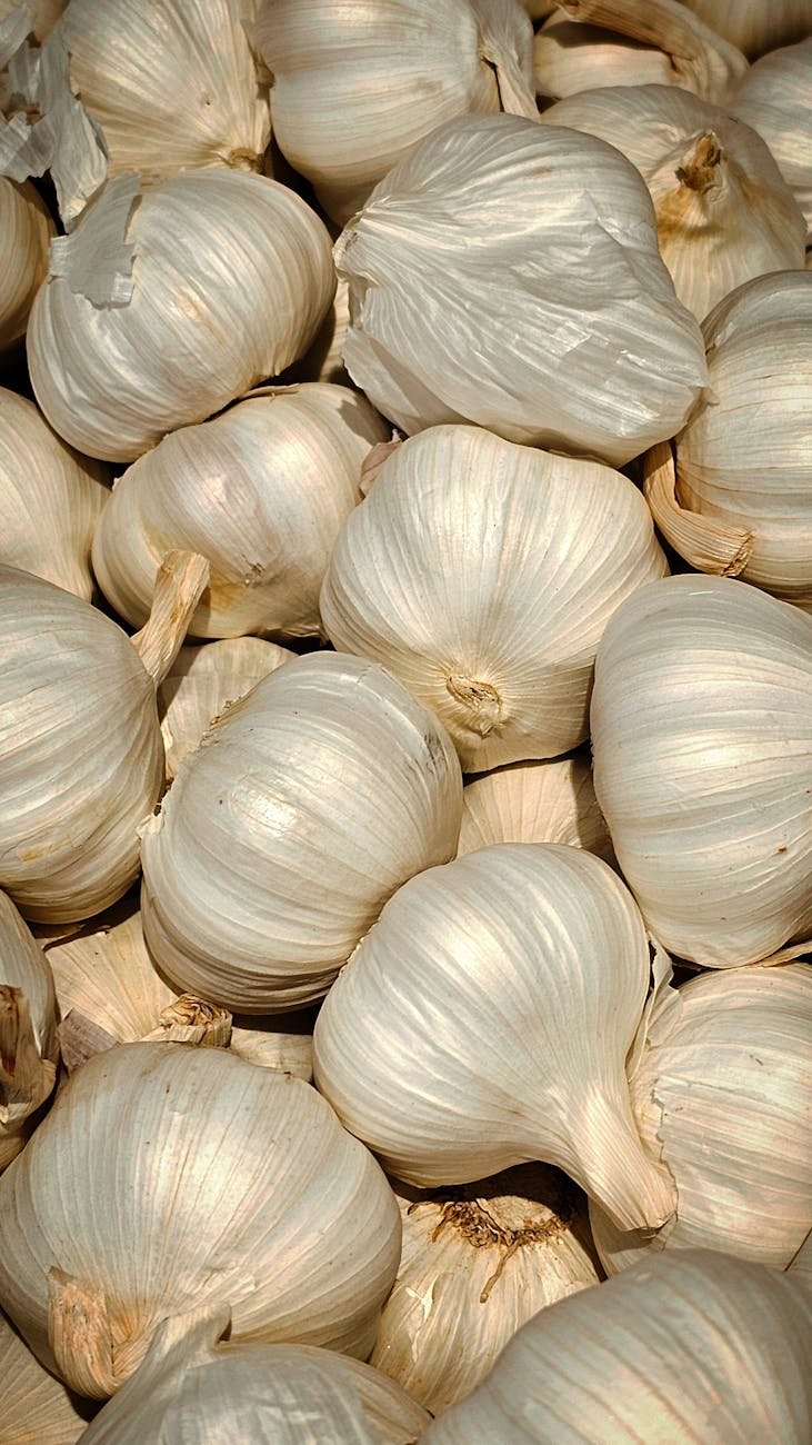 pile of fresh garlic bulbs for culinary use