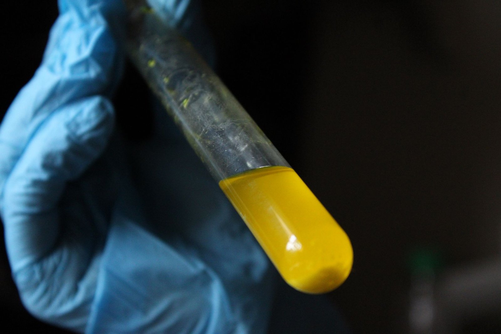 close up of laboratory test tube with yellow liquid