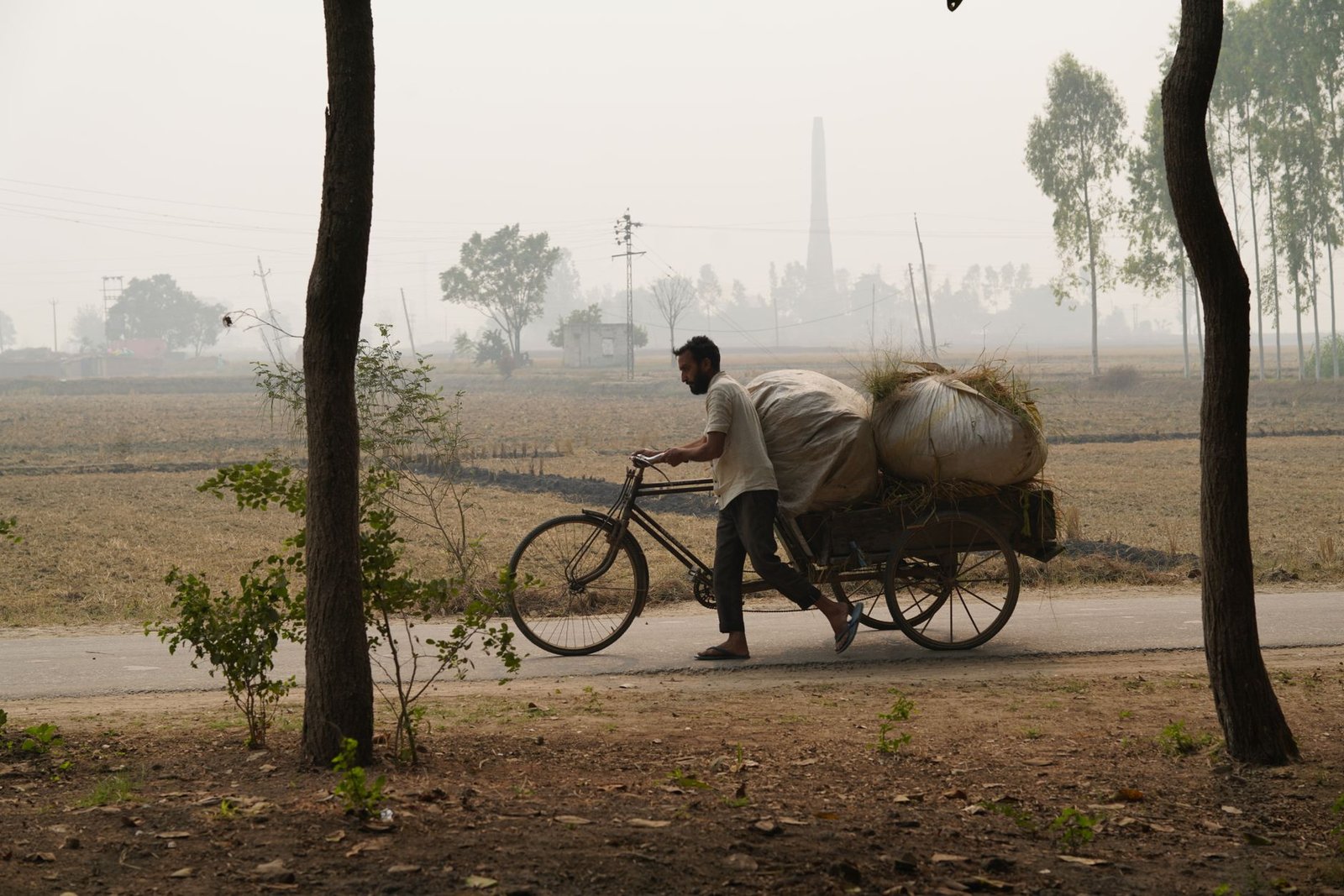 man pushing loaded bicycle in rural landscape