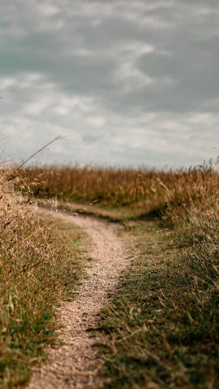 green grass field under cloudy sky
