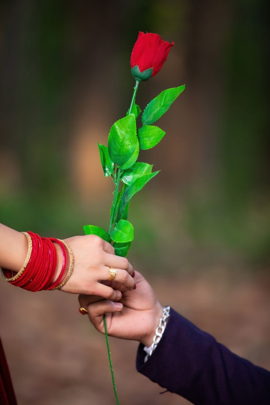 man giving red rose to a woman