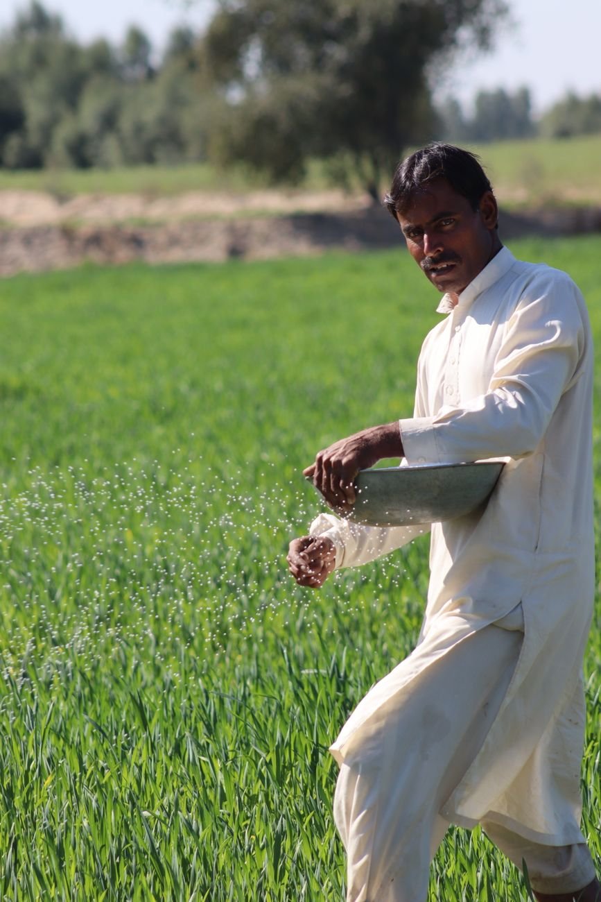 portrait of a farmer sowing seeds in a field