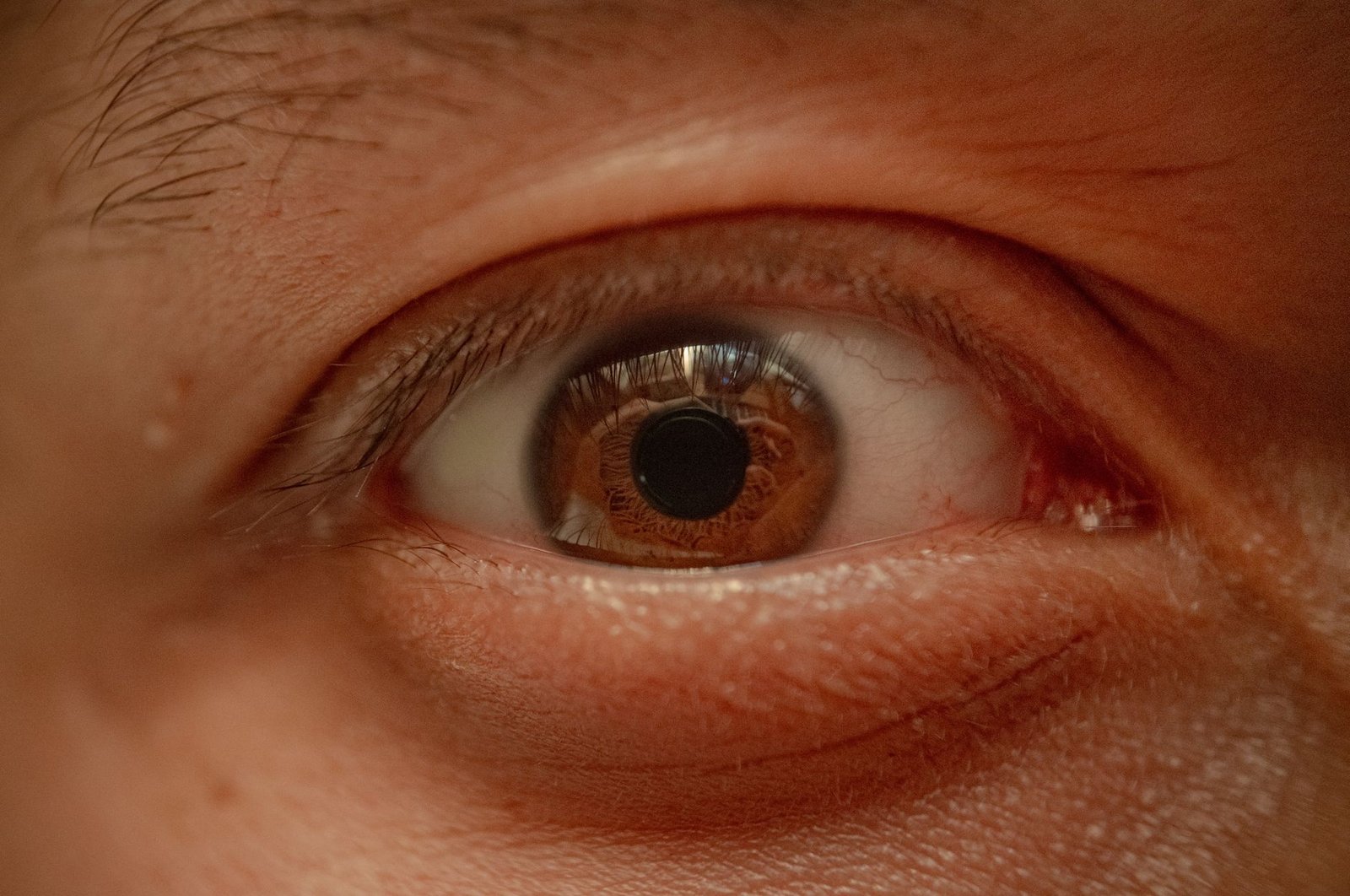 close up of amber eye with natural reflection