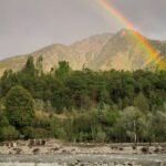 a rainbow over green trees and brown mountain
