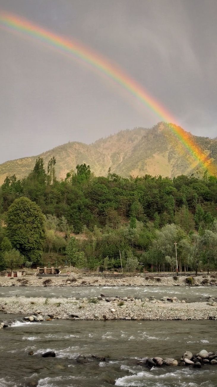 a rainbow over green trees and brown mountain
