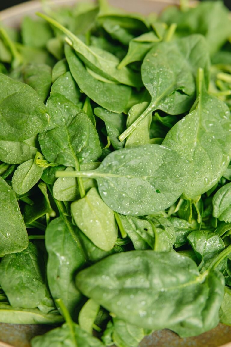 close up photo of green leaves