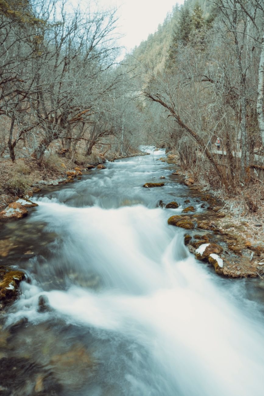 serene winter stream flowing through forest