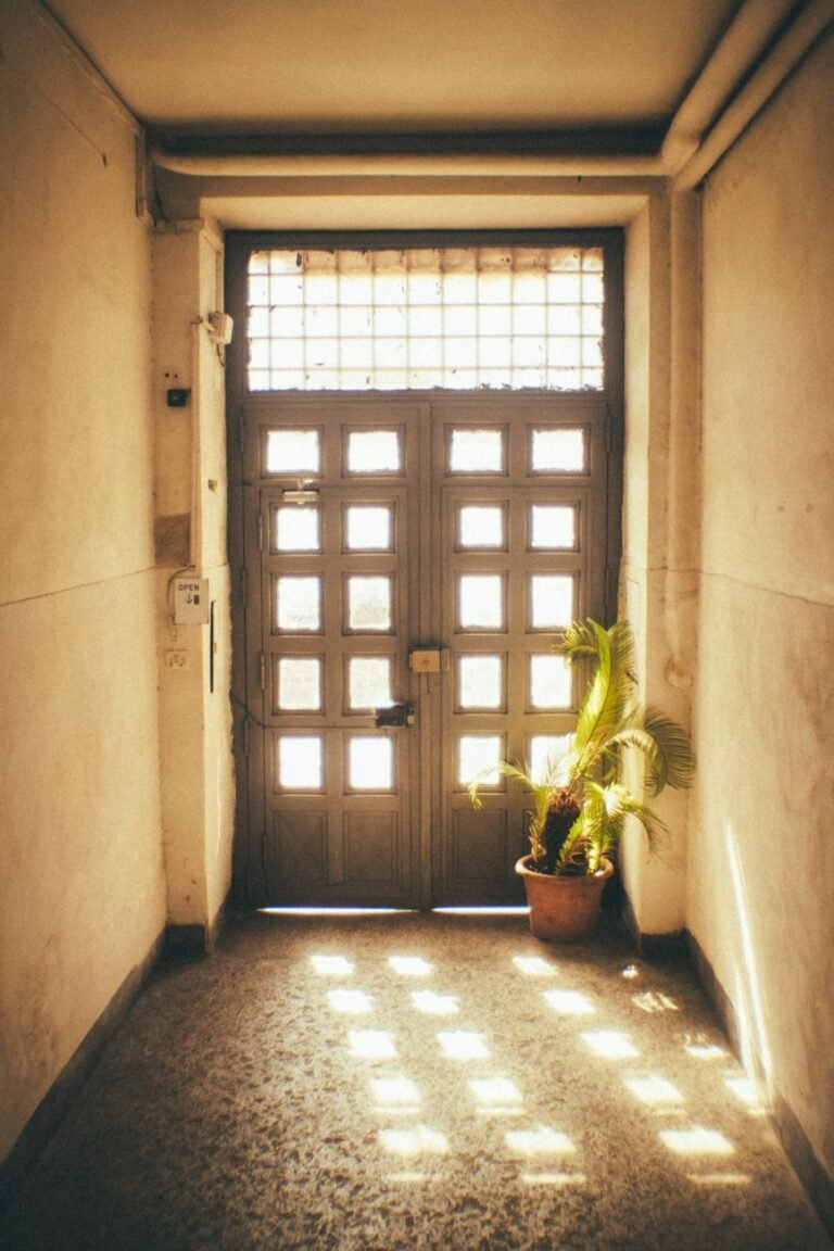 sunlit hallway with potted fern and wooden doors
