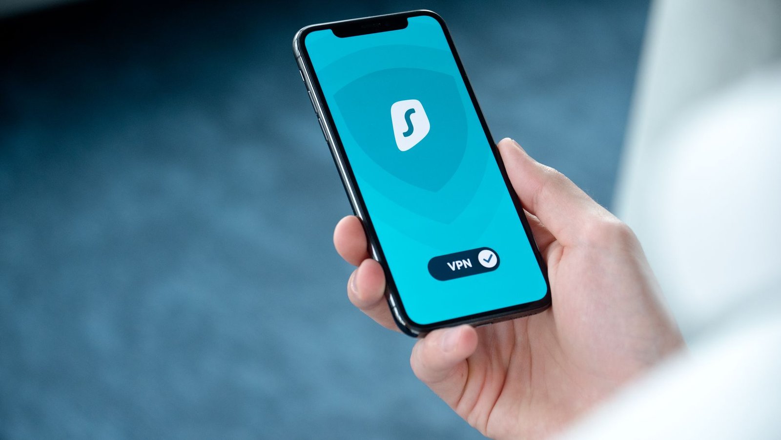 person holding a smartphone