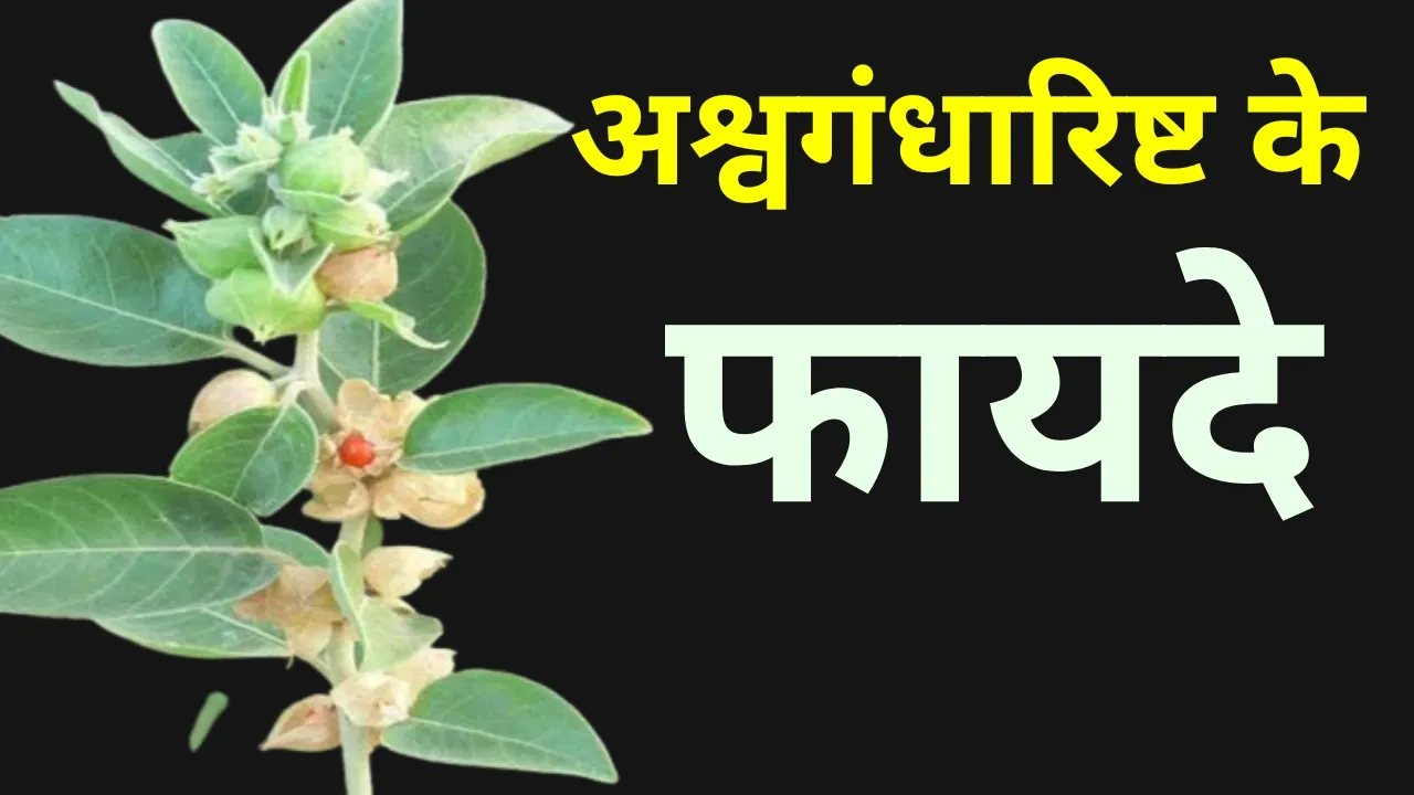 Thumbnail 1683704045909