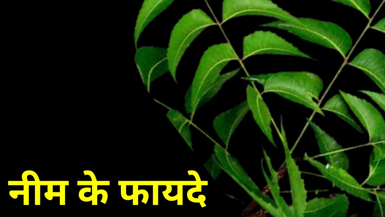 Thumbnail 1684259259641