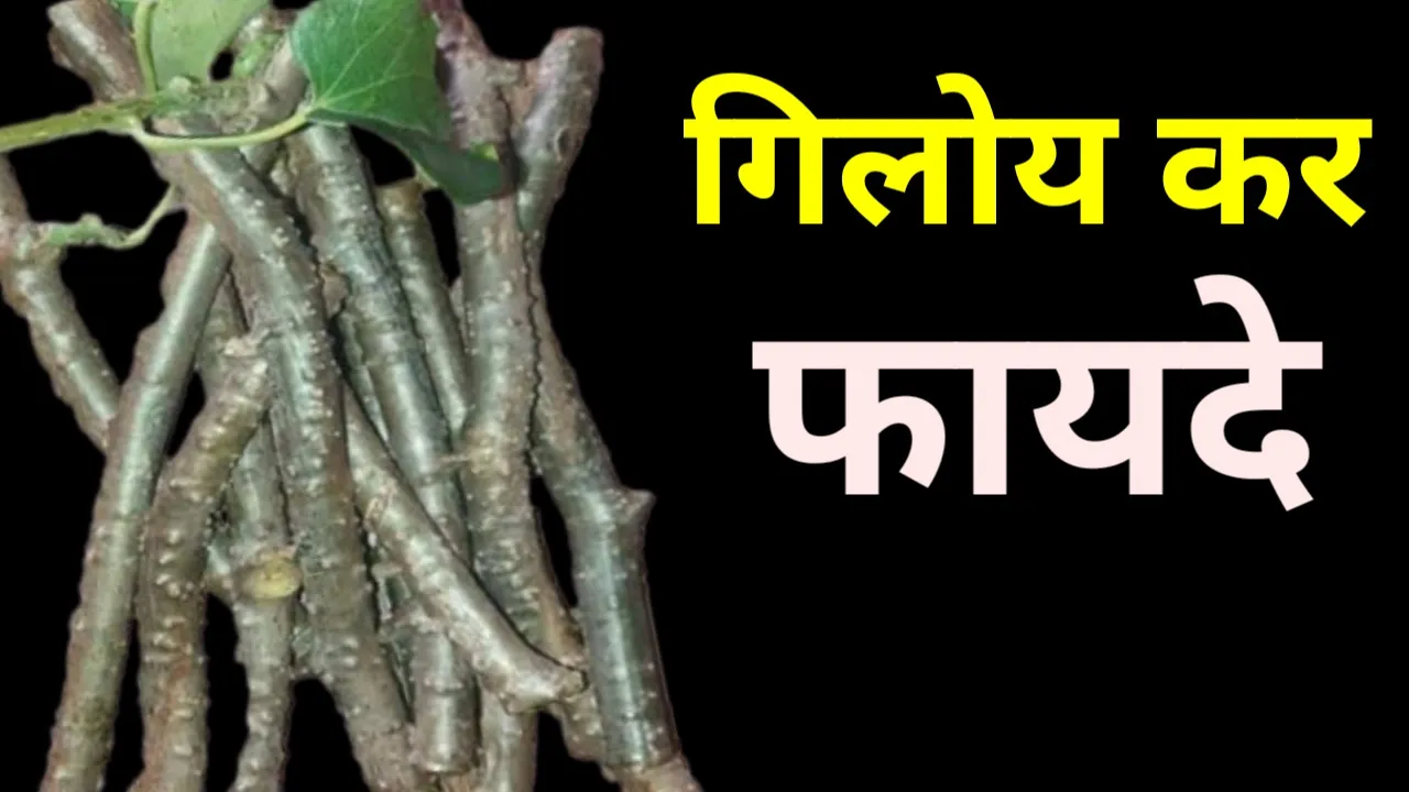 Thumbnail 1684259358331