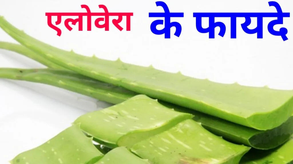 एलोवेरा जूस के फायदे (Aloe Vera Juice ke Fayde)