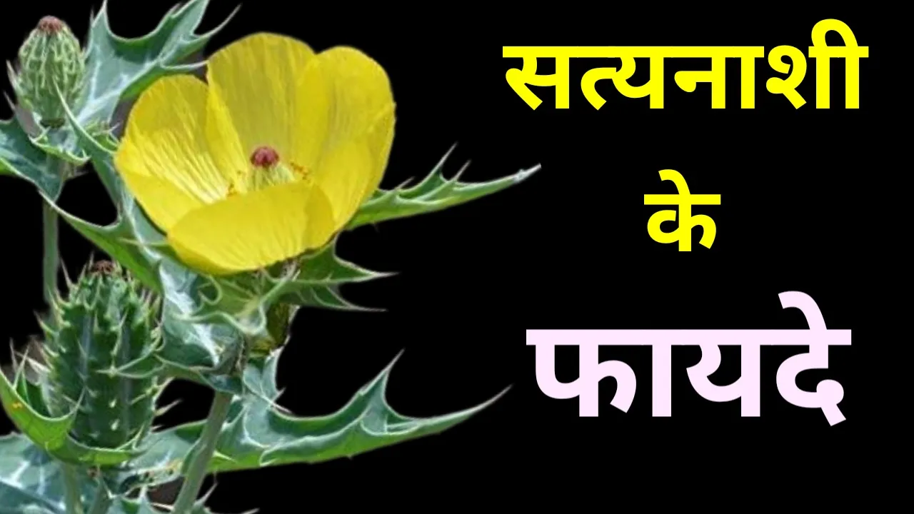 Thumbnail 1685095571744