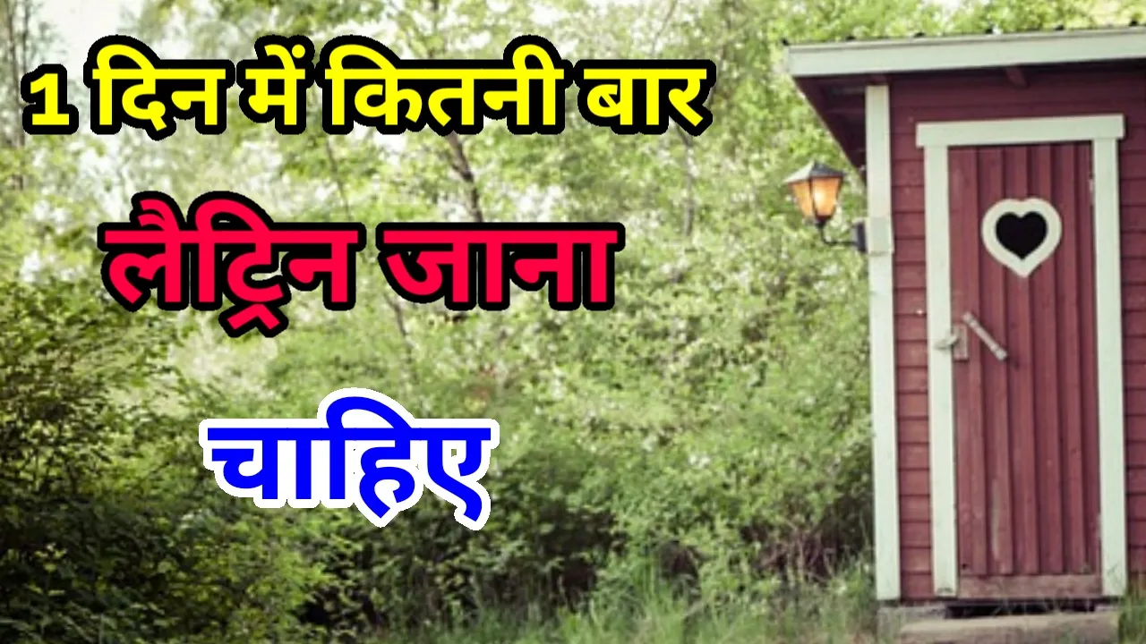 Thumbnail 1690358802476