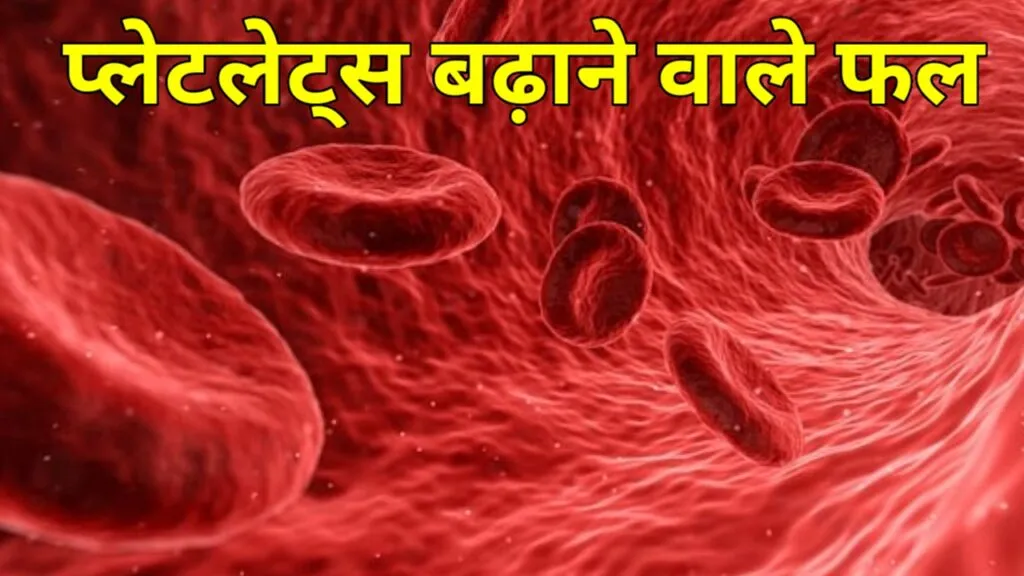 प्लेटलेट्स बढ़ाने वाले फल - सिर्फ कुछ घंटे में बढ़ जायेंगे प्लेटलेट्स