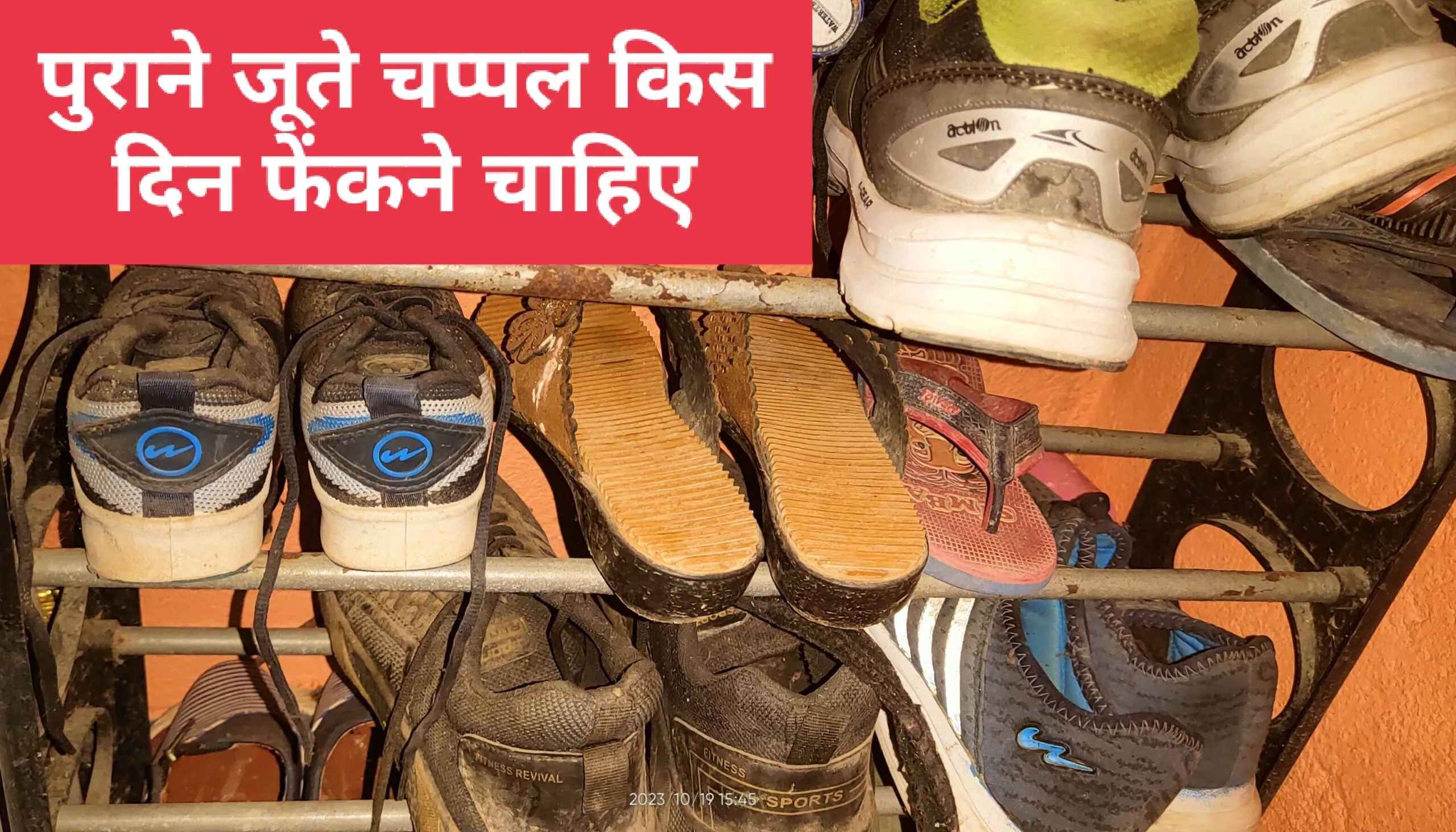 IMG 20231019 154643 Scaled