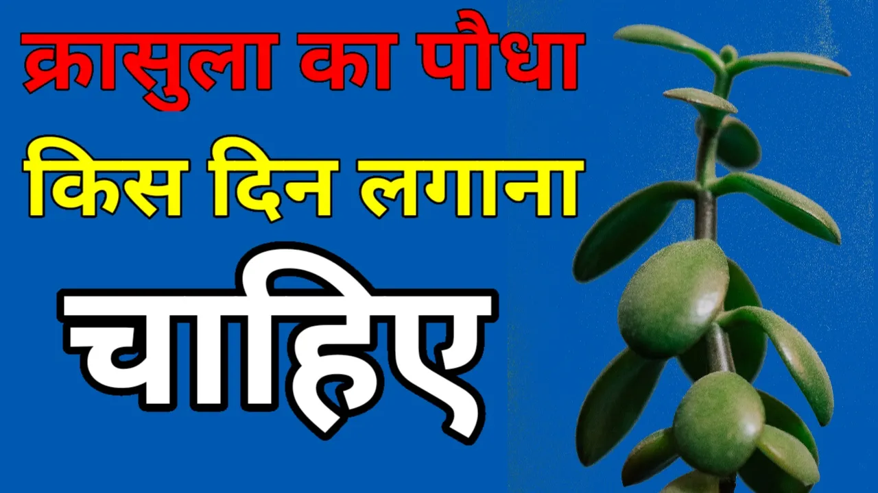 Thumbnail 1698427620513