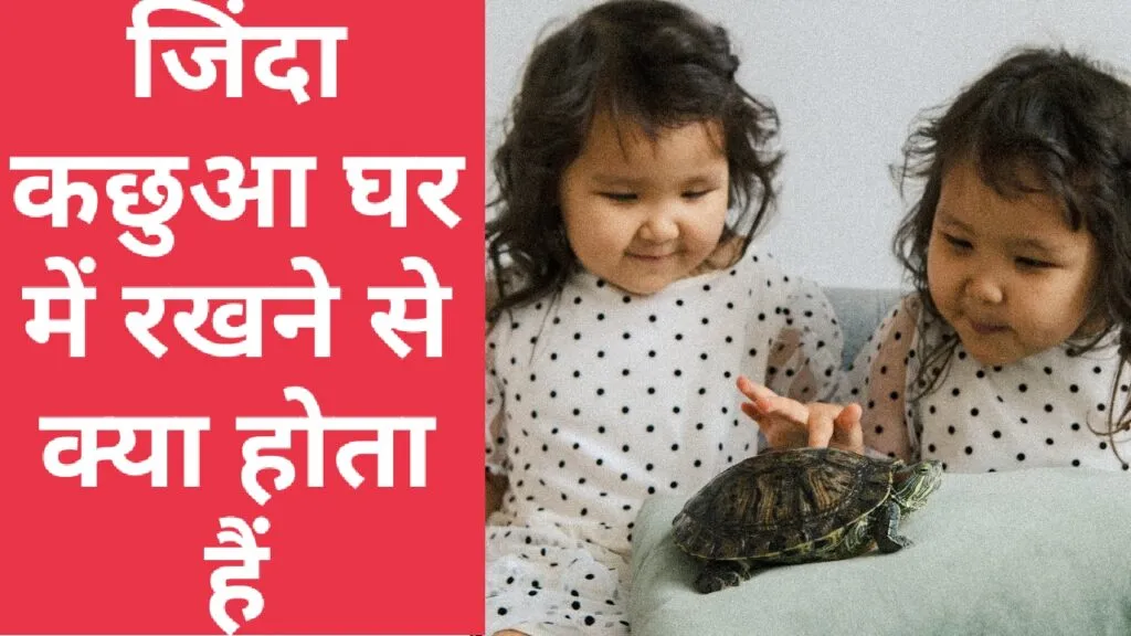 जिंदा कछुआ घर में रखने से क्या होता है