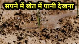 सपने में खेत में पानी देखना
