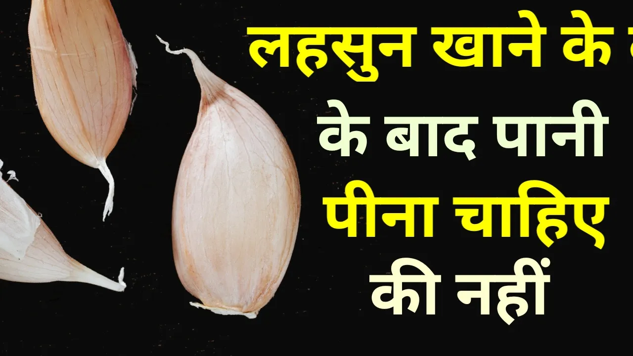 Thumbnail 1703092476063