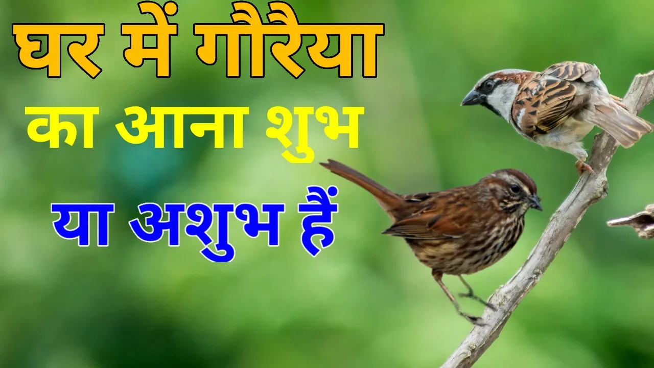 Thumbnail 1703093068028