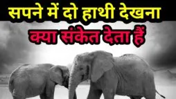 सपने में दो हाथी देखना