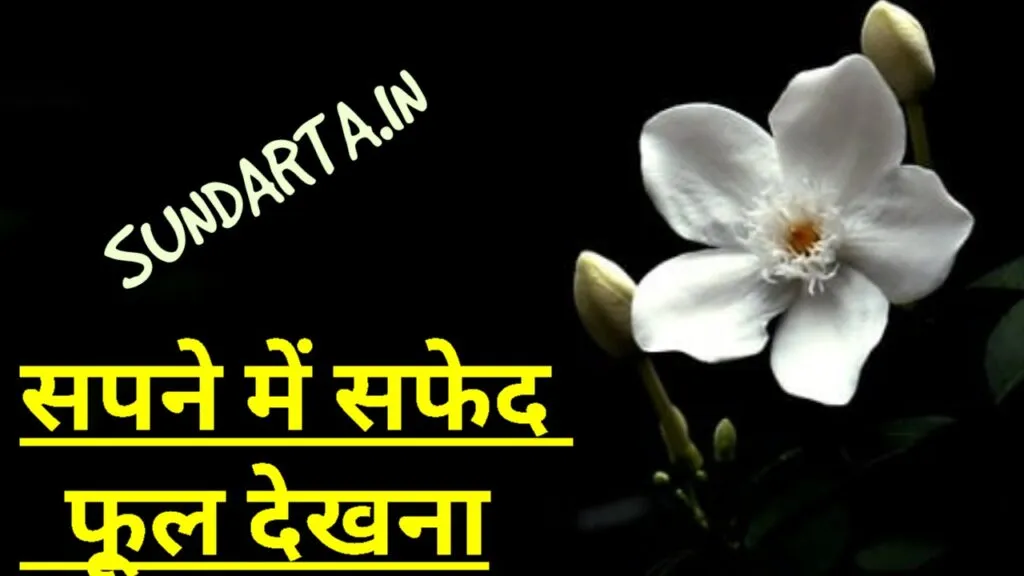 सपने में सफेद फूल देखना