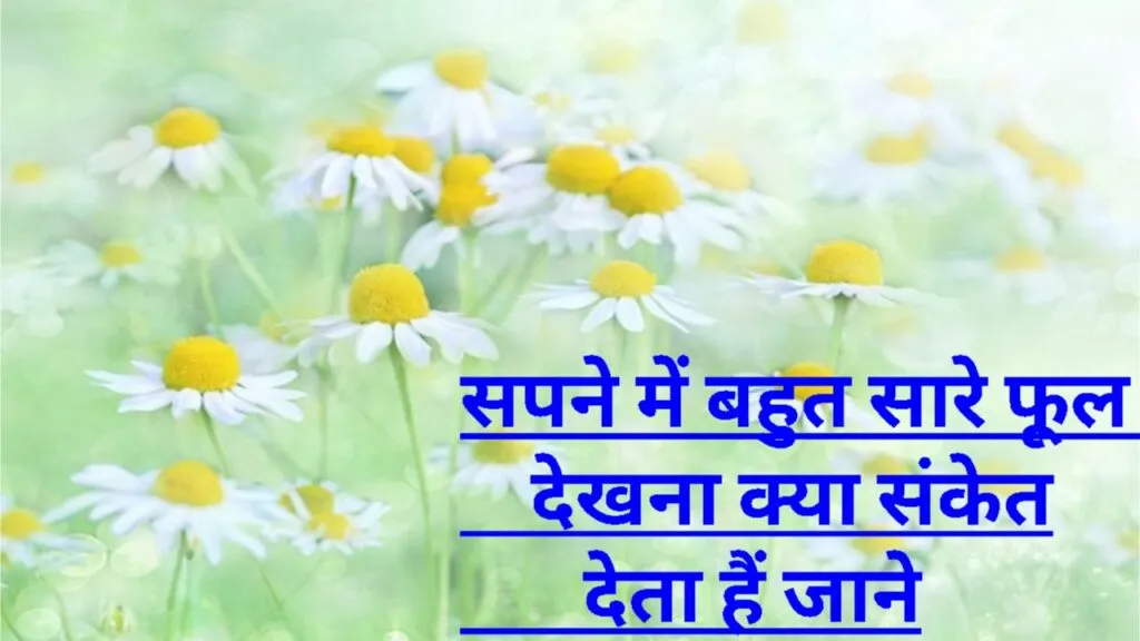 सपने में बहुत सारे फूल देखना / पीला, सफेद, बैंगनी और अन्य तरह के फूलों का सपने में दिखना देता हैं खास संकेत