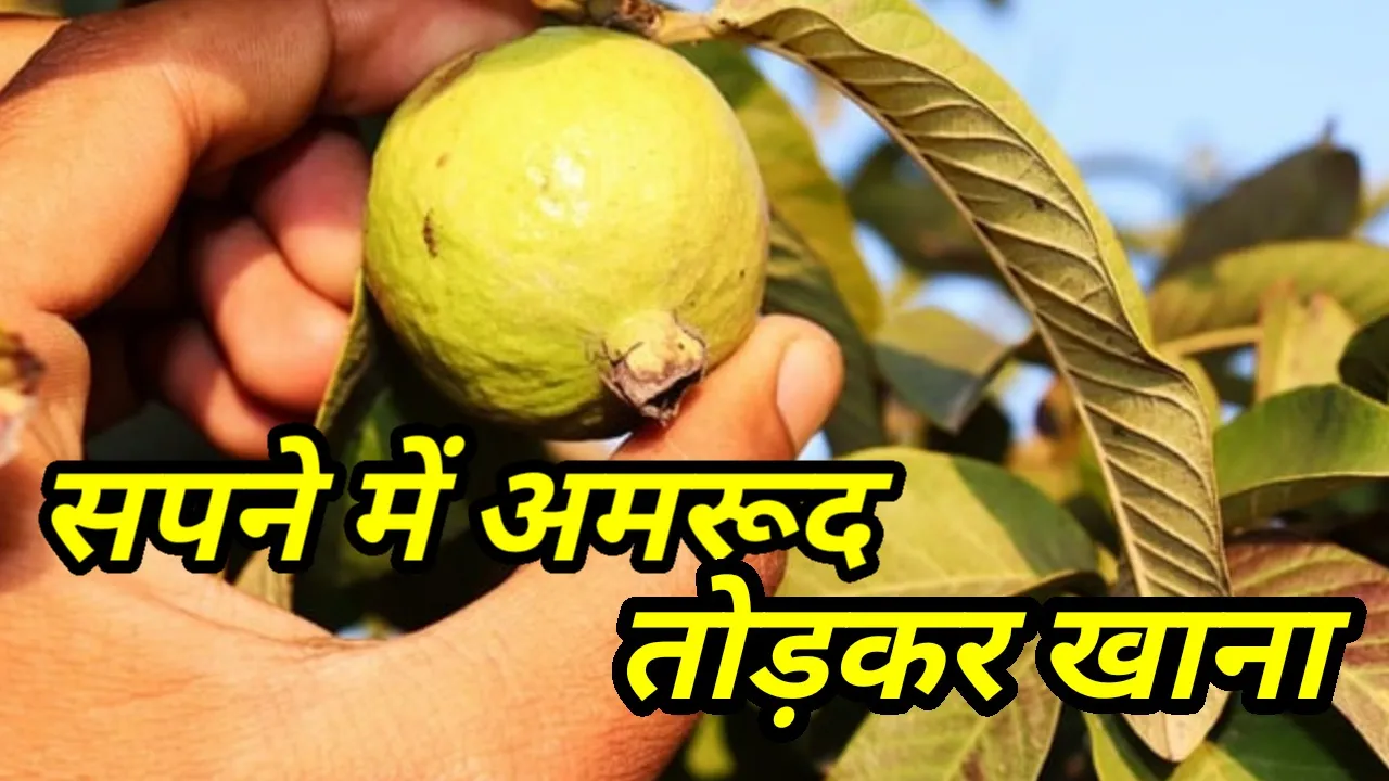 Thumbnail 1729690533621