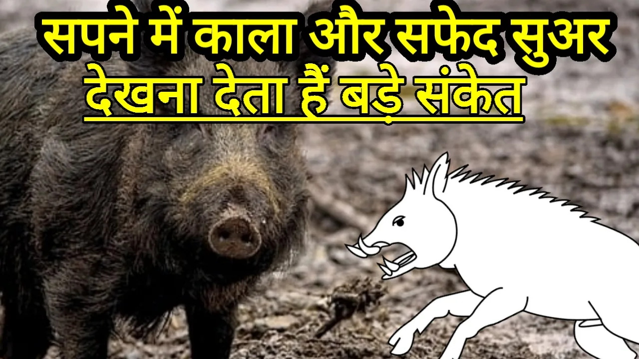 Thumbnail 1729696392580