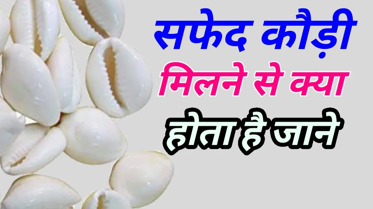 Thumbnail 1729691981578